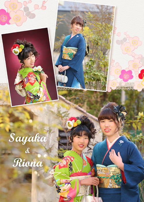 20161212キャビネ