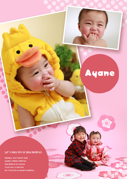 20180207キャビネ