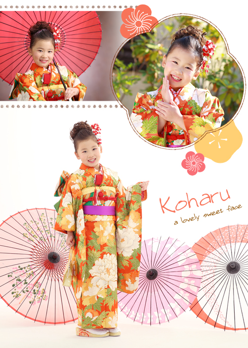 20181103キャビネ