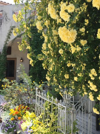 10周年記念！天使の森佐野オリヴィエ！