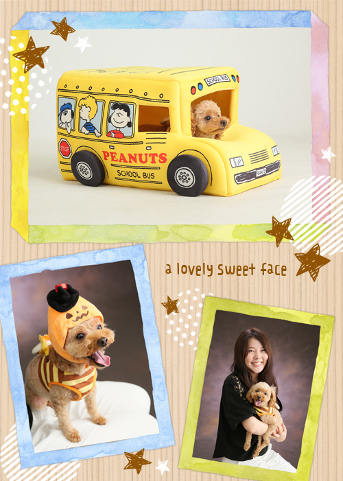 20190921キャビネ