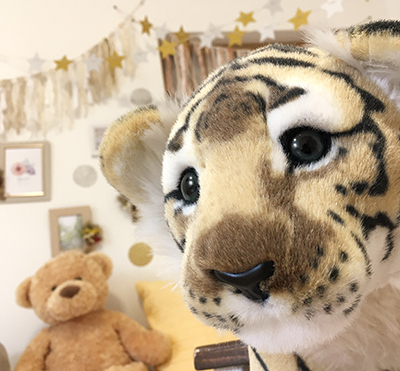 お誕生記念用背景と年賀状用トラさん新登場＠ベビーフォト