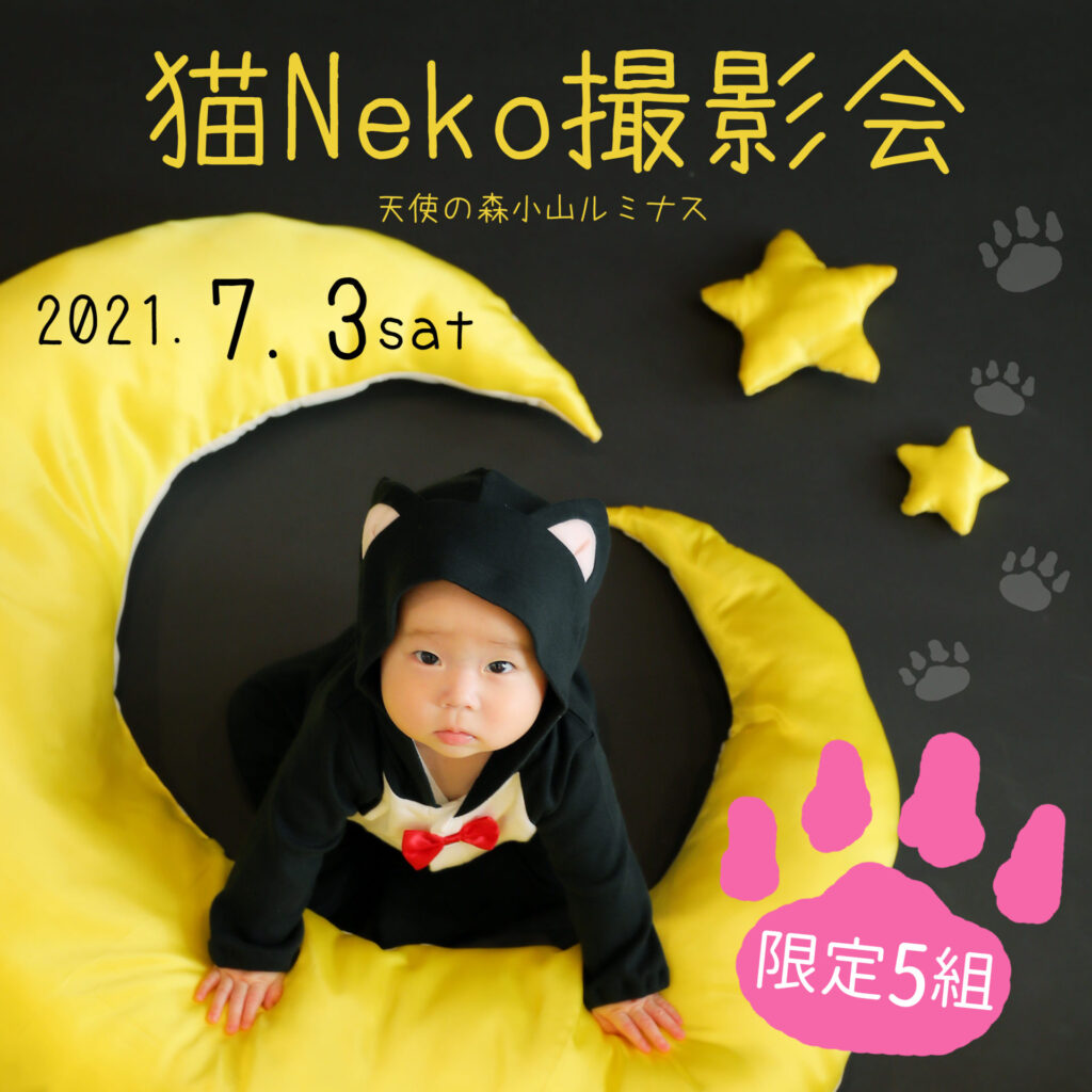 猫Neko撮影会