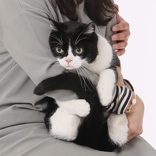 意外に撮らない普段着の家族写真をぜひ。