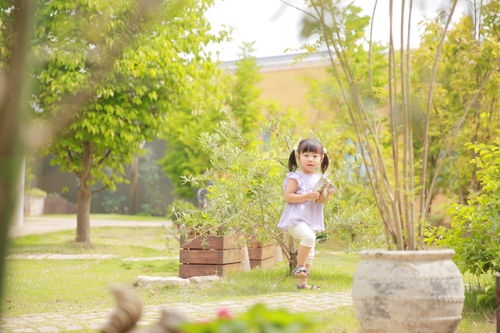 中庭の様子をお披露目＆七五三見学のお知らせ