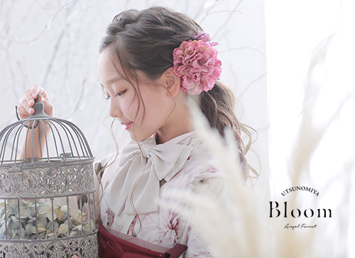 ハーフ成人式　新作衣装のご案内！