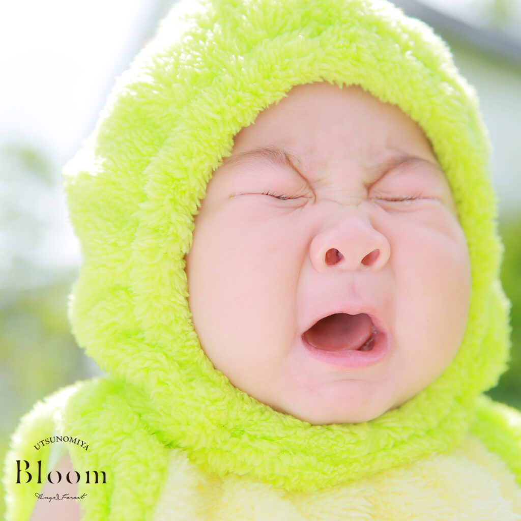 ベビーフォト新作着ぐるみ第2弾♪