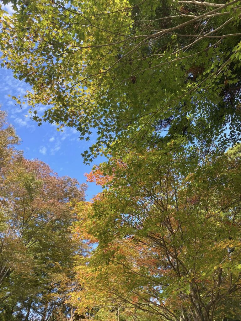 赤ちゃんが産まれたら…お宮参り　栃木県の写真スタジオ天使の森　撮影された方　産着外出レンタル無料貸し出し★