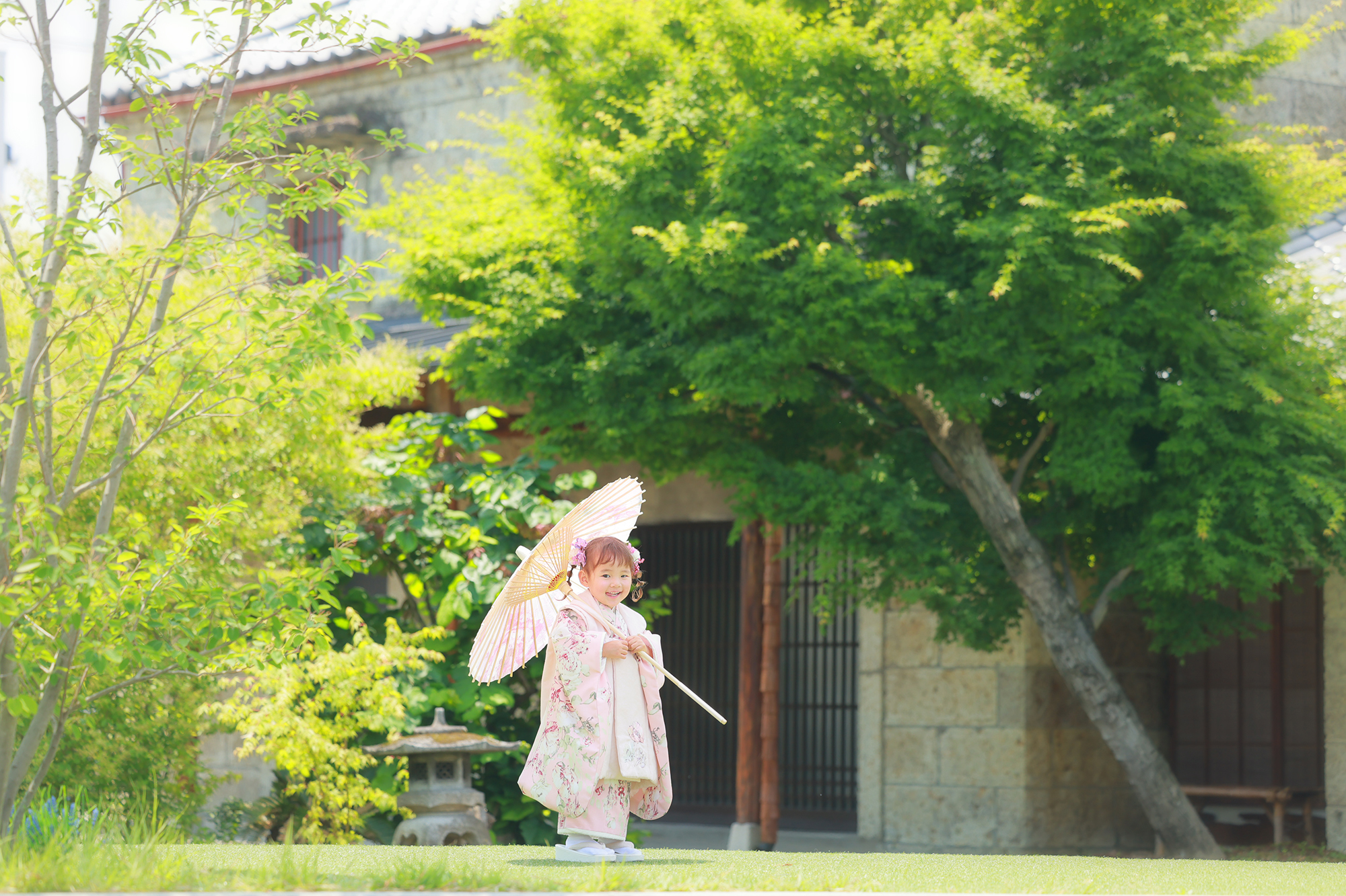 宇都宮　七五三　庭　あじさい