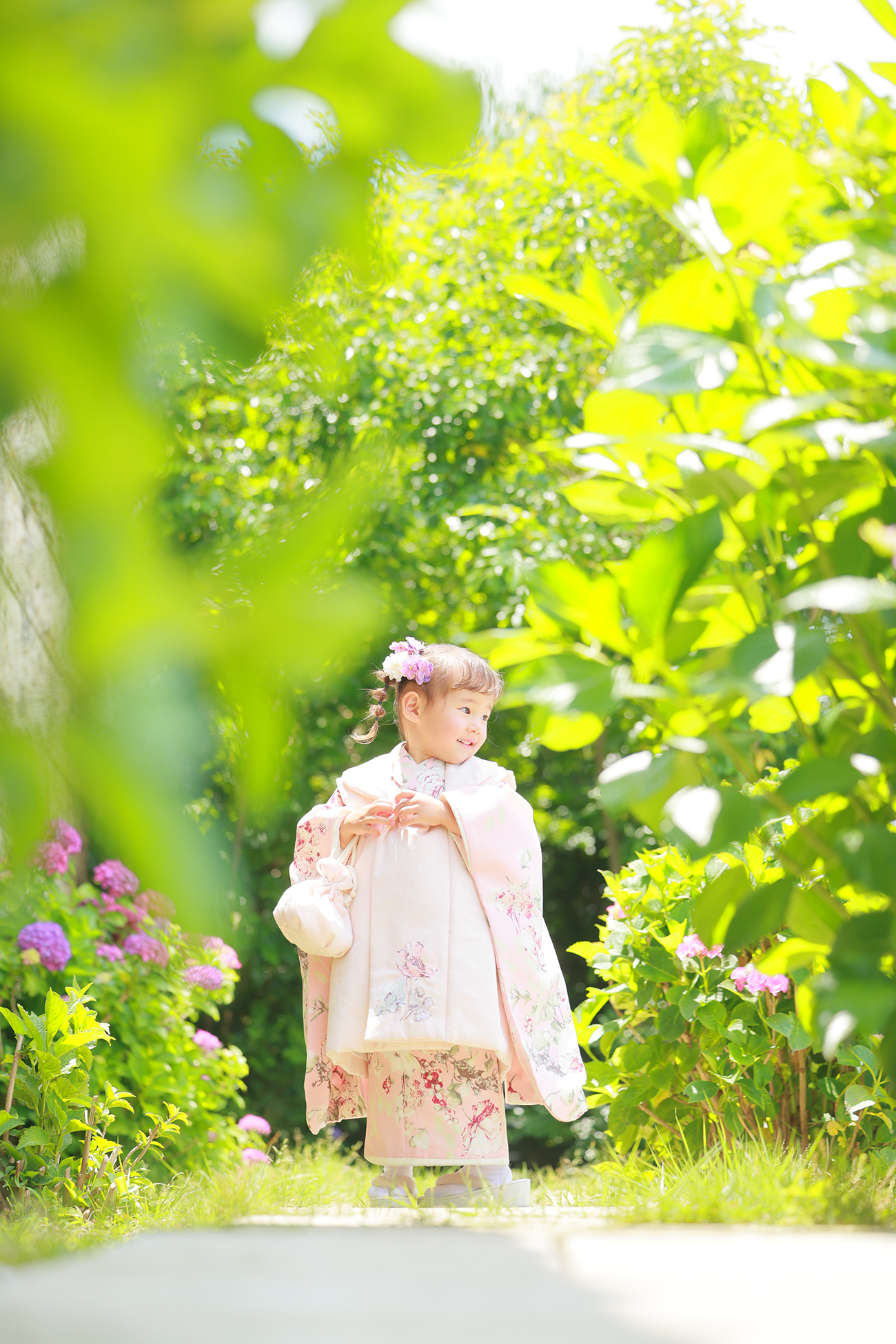 宇都宮　七五三　庭　あじさい