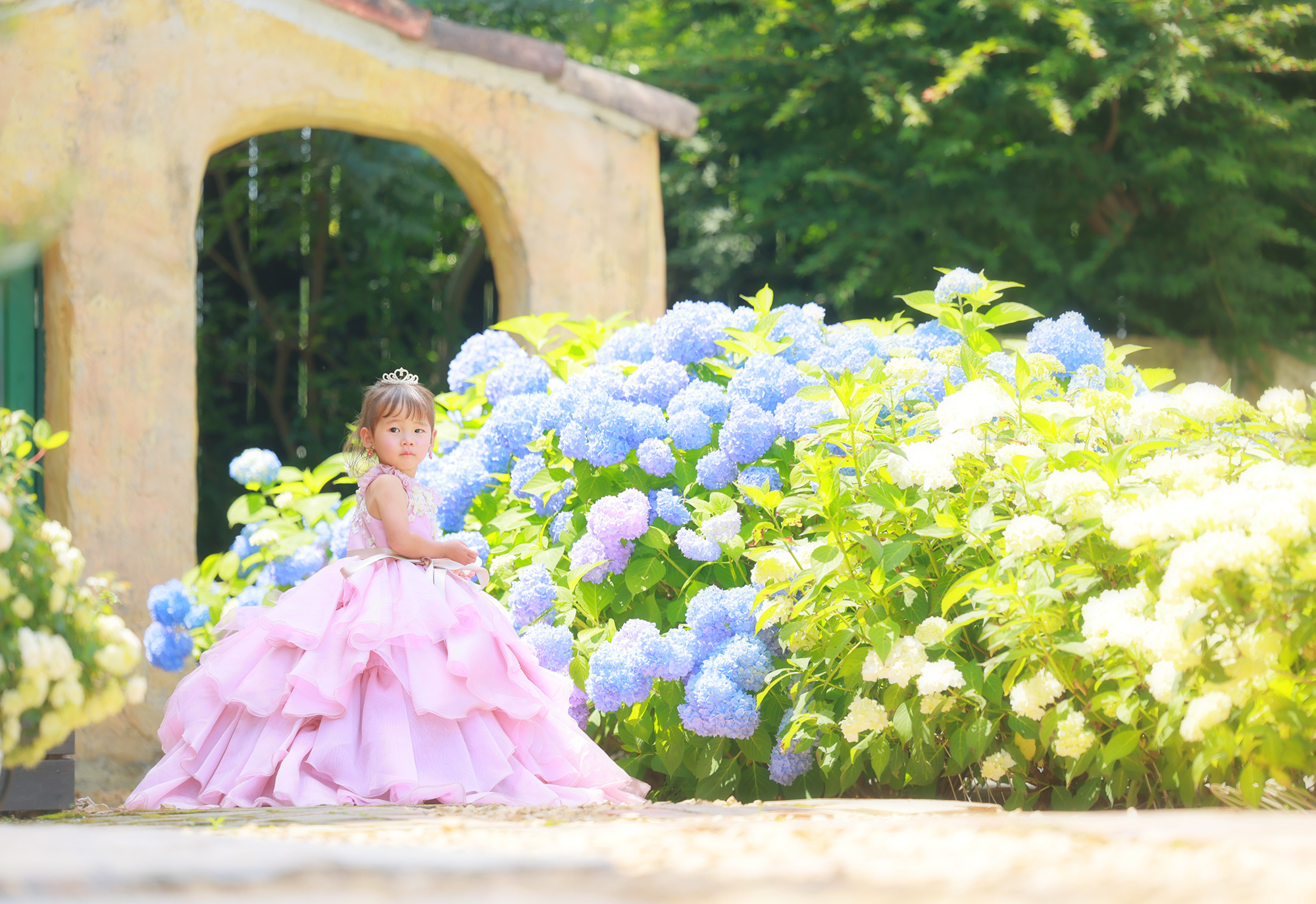 宇都宮　七五三　庭　あじさい