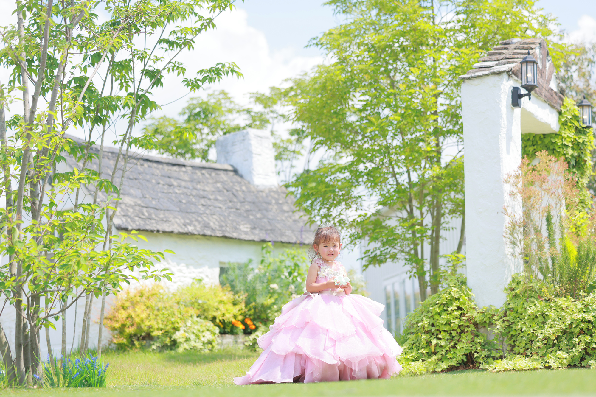 宇都宮　七五三　庭　あじさい