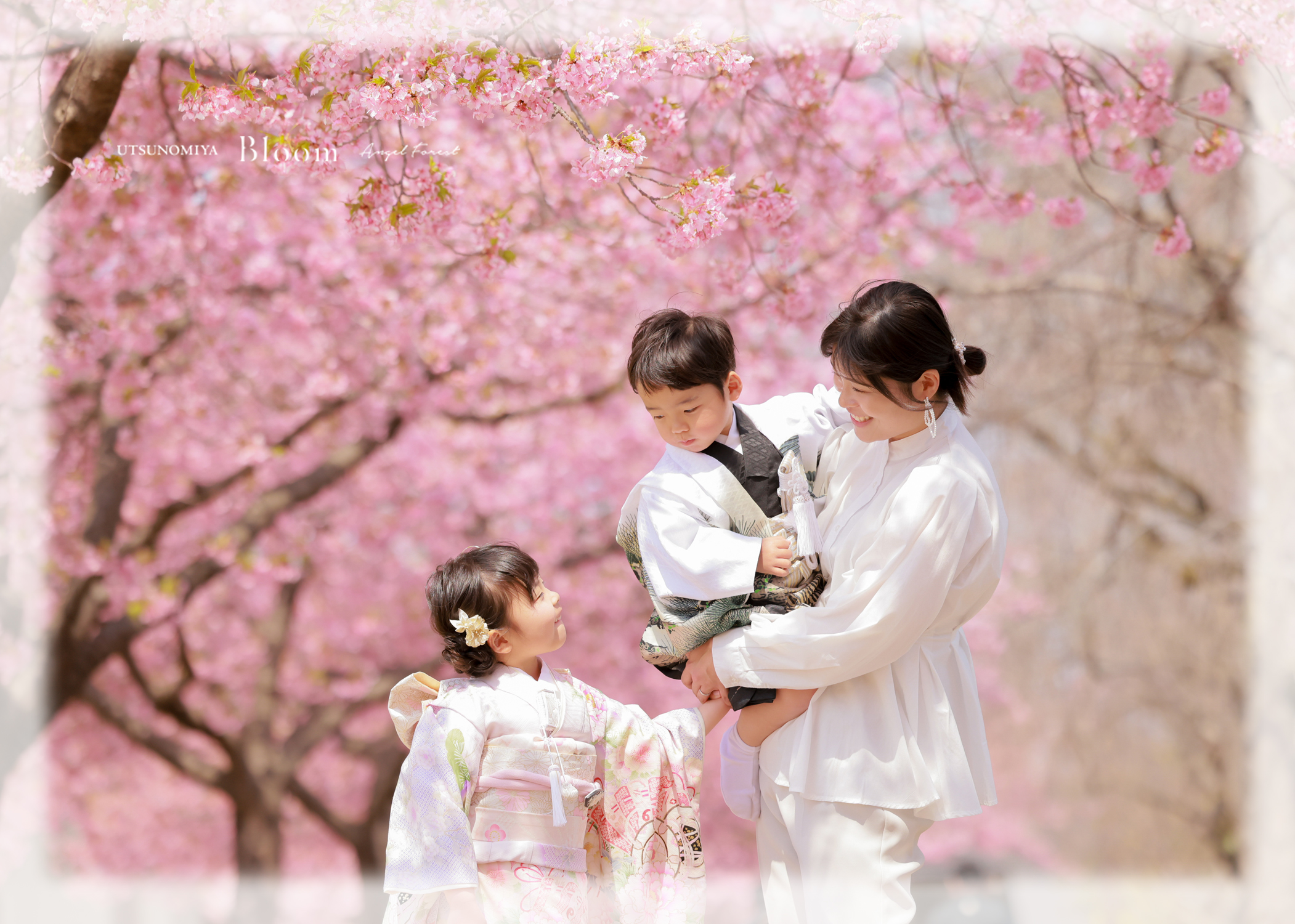 七五三　出張撮影　桜