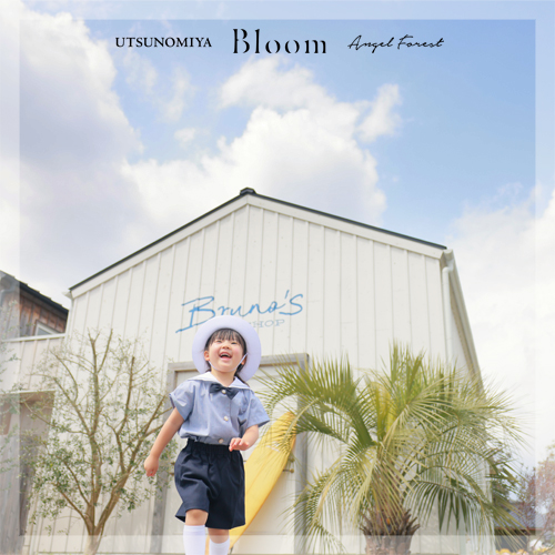 入学　入園　宇都宮