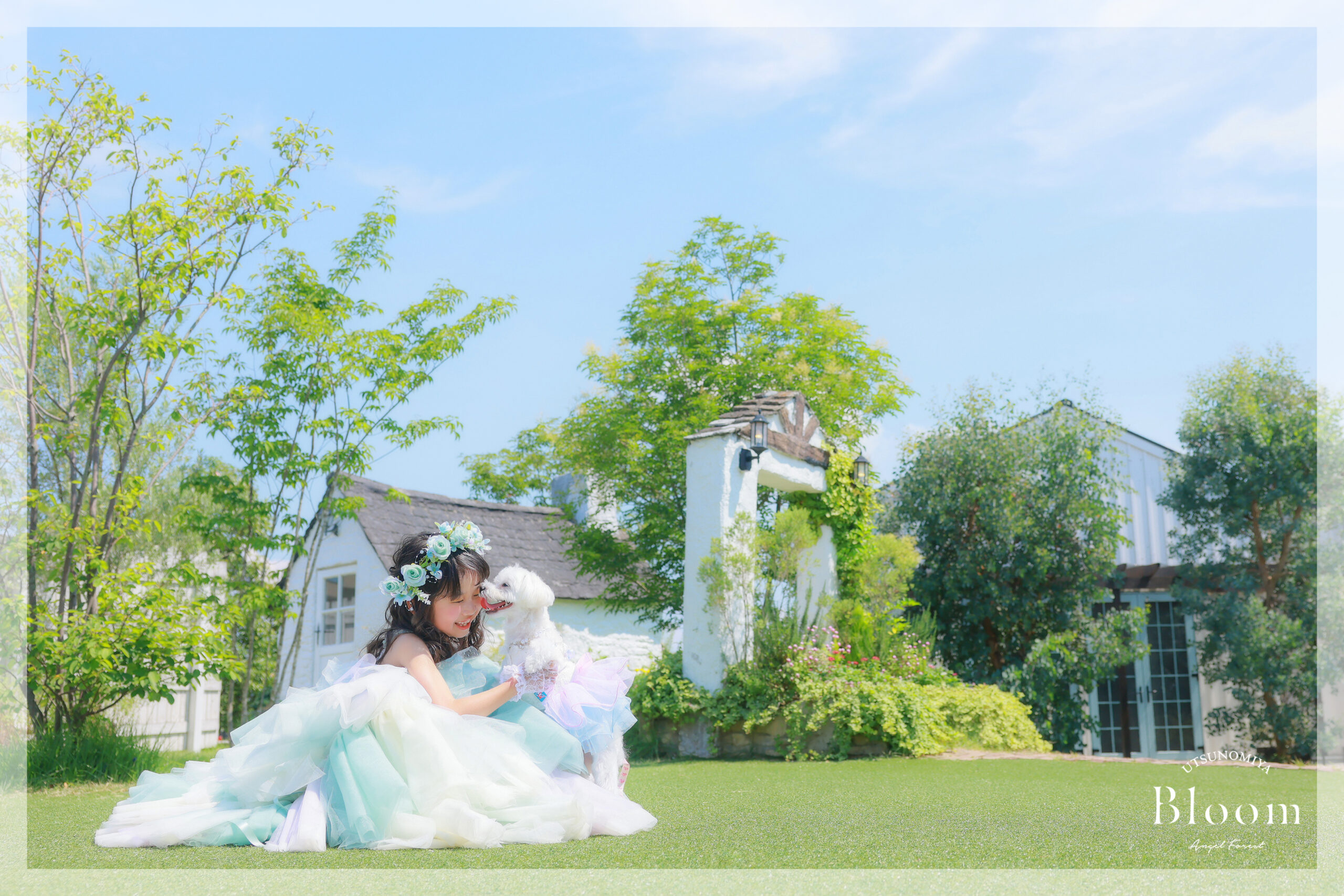 宇都宮　七五三　ペット