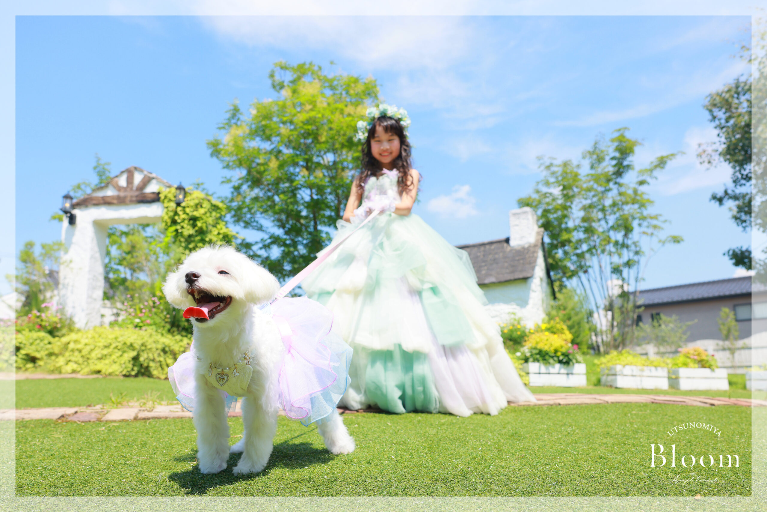 宇都宮　七五三　ペット