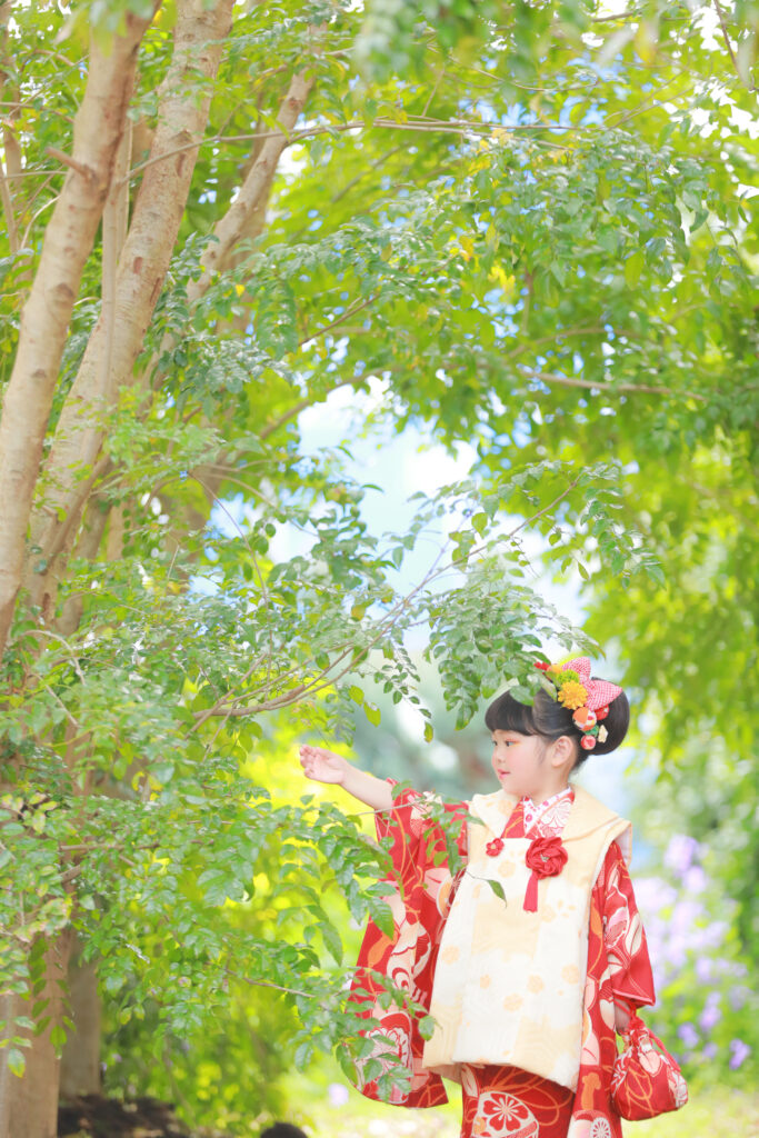 久しぶりの七五三新作衣装紹介！