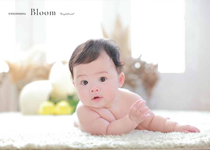 ベビーフォト　ハーフバースデー　宇都宮　天使の森