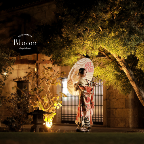 今年もナイトロケのご案内