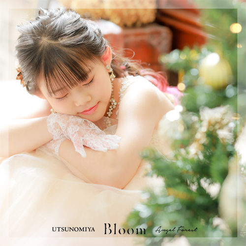 新年ではございますが…