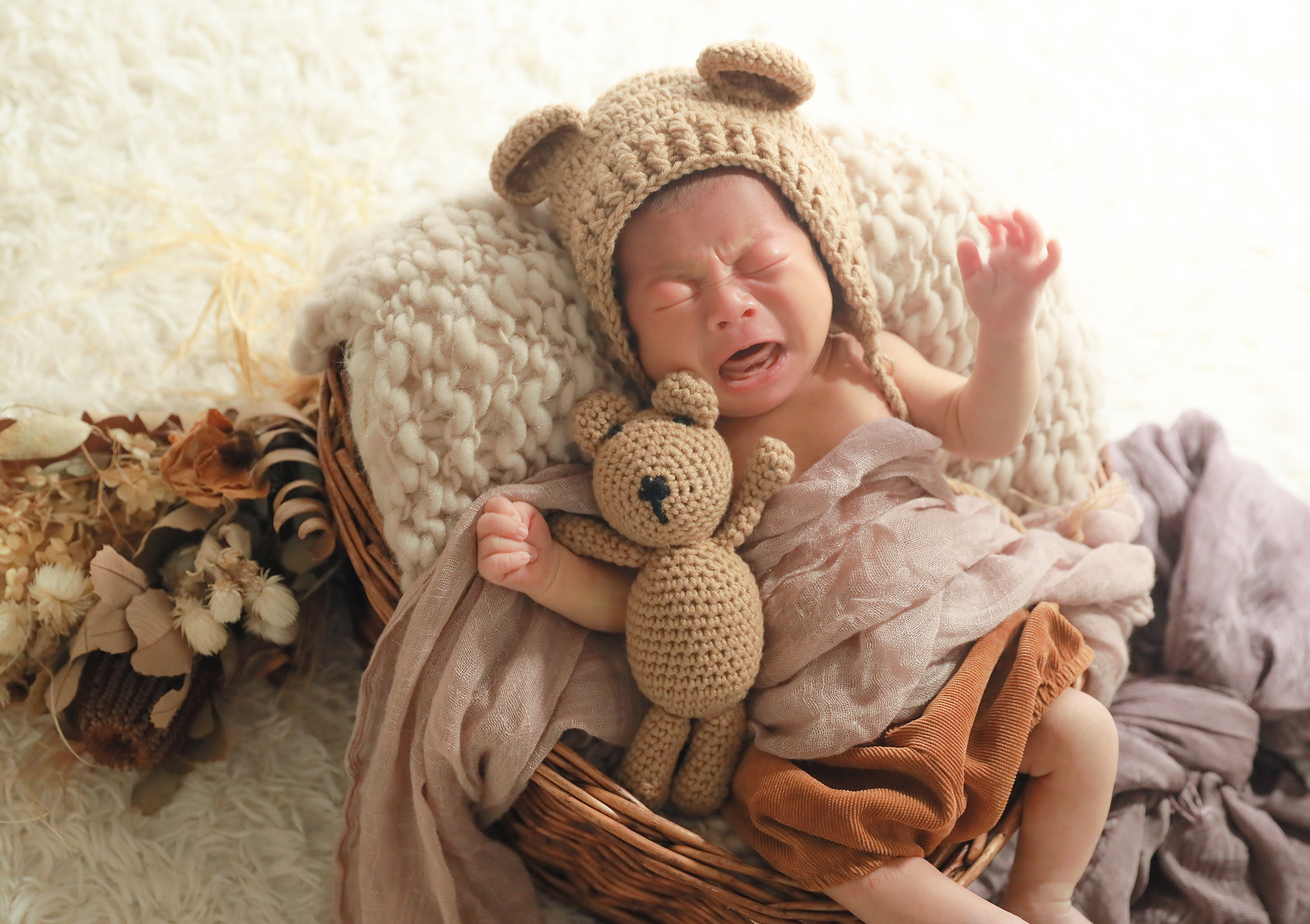 【小山ルミナス・佐野オリヴィエ】2025.7~10 ニューボーンフォトお試し撮影会