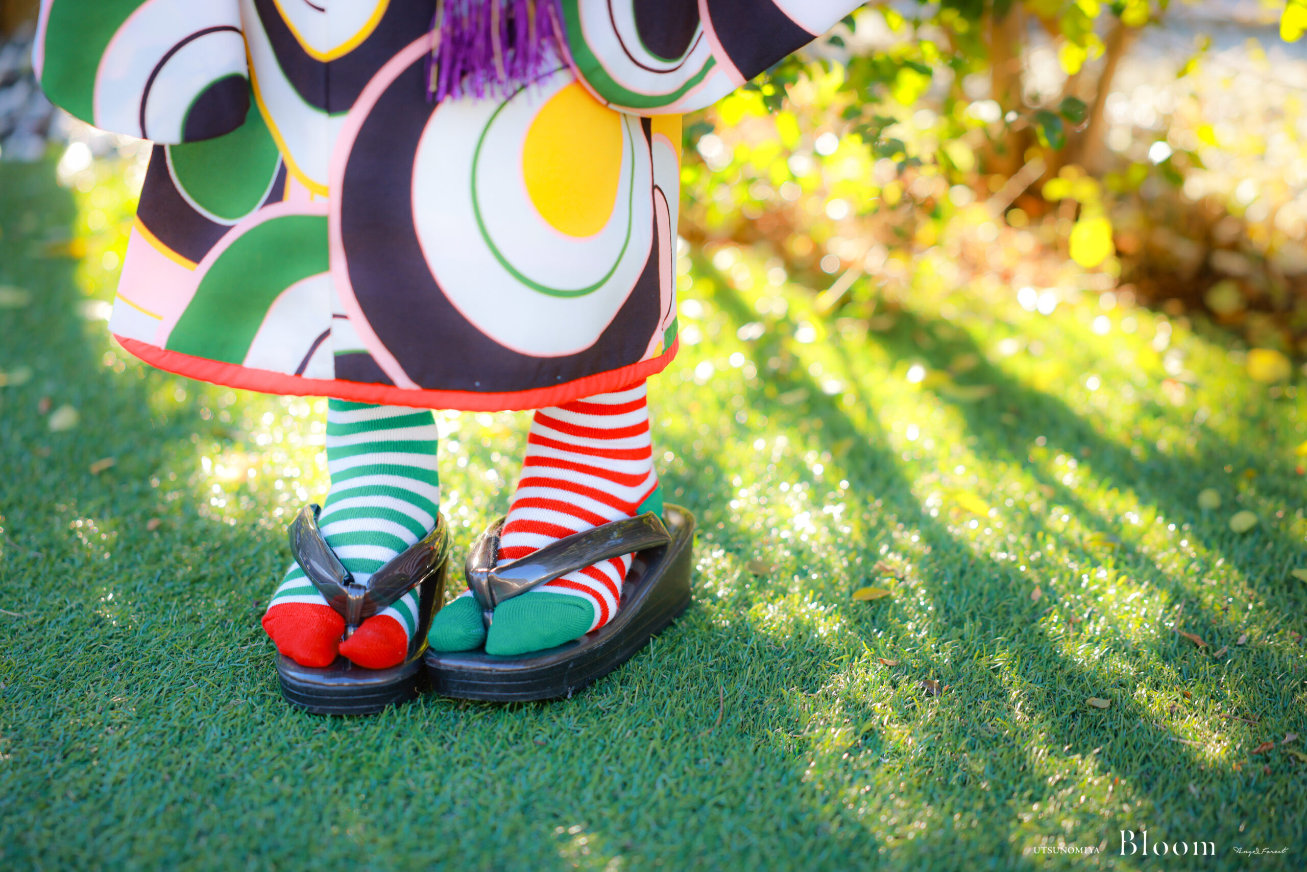 七五三　撮影　宇都宮