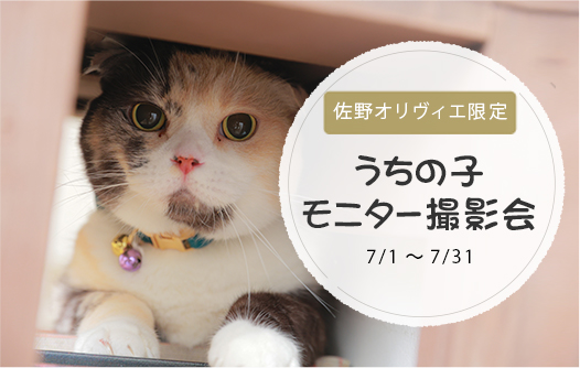 【佐野店限定】うちの子モニター撮影会